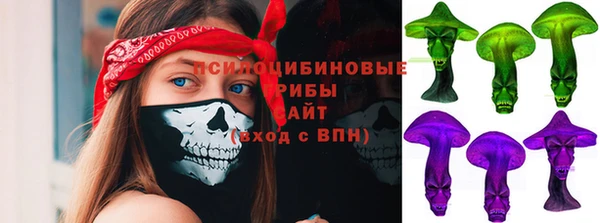 PSILOCYBIN Алексин