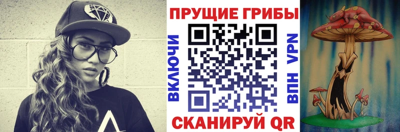 Псилоцибиновые грибы ЛСД  закладка  Ачинск 